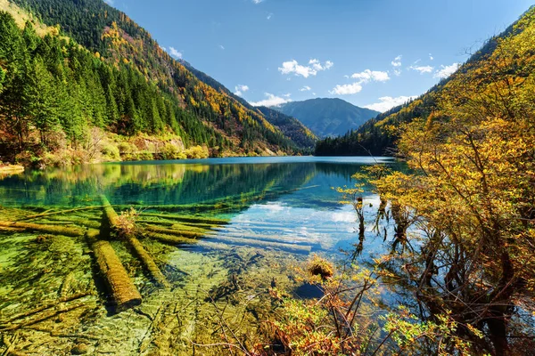 Schöner Blick auf den Pfeil-Bambussee mit kristallklarem Wasser — Stockfoto