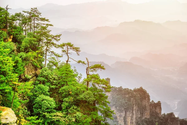 Alberi verdi che crescono sulla roccia, Avatar Rocks. Immagine tonica — Foto Stock