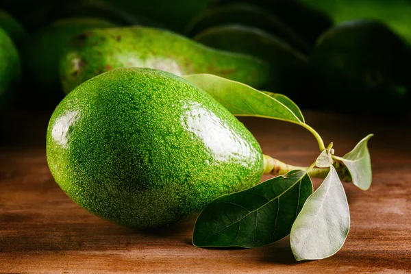 Detailní pohled na zářivě zelené čerstvé zralé avokádo s listy — Stock fotografie