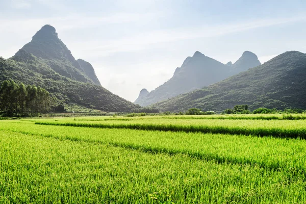 Paisagem de verão em Yangshuo County of Guilin, China — Fotografia de Stock