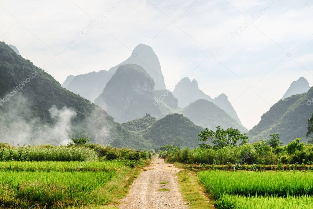 Amazing dirt road through green rice fields and karst mountains