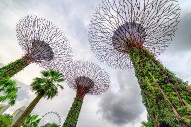 Supertree Grove Singapur fantastik alttan görünüm