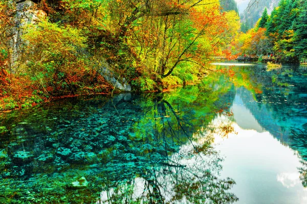 五花湖。 五彩斑斓的秋林映衬在水面上 — 图库照片