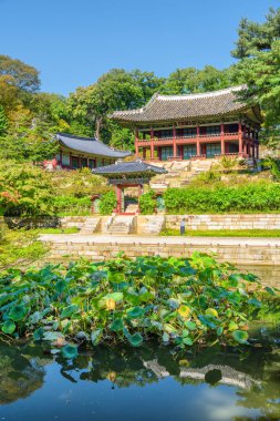 Changdeokgung Sarayı 'ndaki Huwon Gizli Bahçesi' nde Juhamnu Pavyonu.