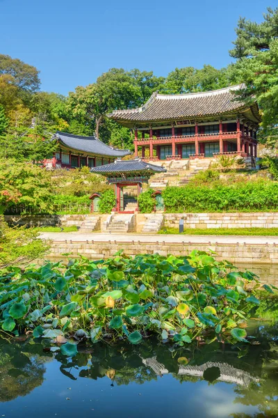 Juhamnu pavilon Huwon titkos kertjében a Changdeokgung palotában — Stock Fotó