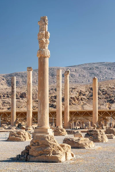 Persepolis, İran 'daki Apadana Sarayı sütunları — Stok fotoğraf