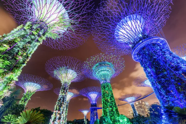 Fabulous night bottom view of the Supertrees and the Skyway — 스톡 사진