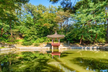 Aeryeon Jeong Pavyonu ve Aeryeonji Pond. Huwon Gizli Bahçesi