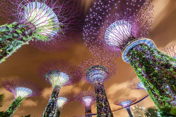 Fantastique vue de fond de nuit sur les Supertrees et le Skyway — Photo