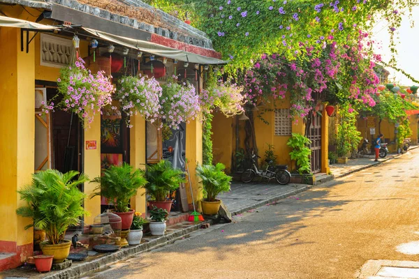 Barevný ranní pohled na útulnou ulici zdobené květinami — Stock fotografie
