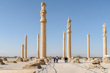 Persepolis, İran 'daki Apadana Sarayı' nın mavi gökyüzü arka planındaki sütunlarının muhteşem manzarası. Antik Pers şehrinin Hypostyle Salonu. Persepolis, Orta Doğu 'nun popüler bir turizm beldesidir..