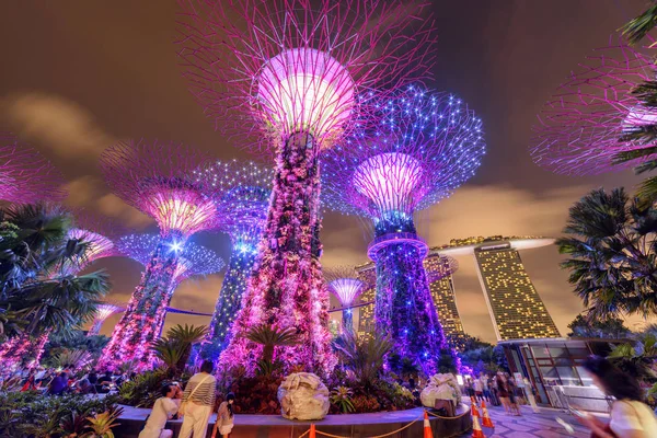 Singapur Febrero 2017 Increíble Vista Nocturna Del Fondo Los Superárboles — Foto de Stock