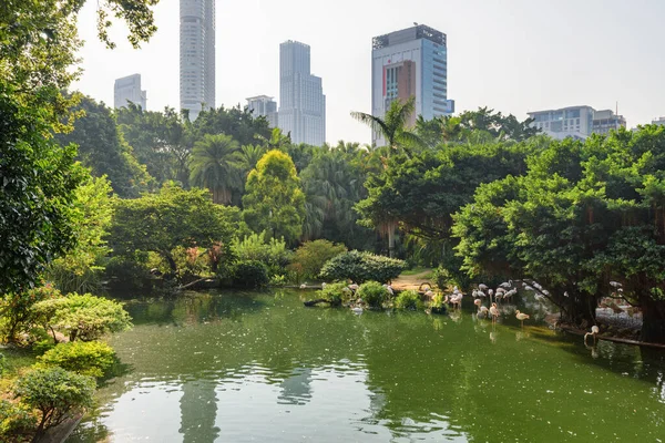 Awesome morning view of Bird Lake at Kowloon Park in Hong Kong. Amazing cityscape. Hong Kong is a popular tourist destination of Asia.
