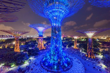 Singapur - 18 Şubat 2017: Körfez kenarındaki Gardens 'taki Supertrees' in fantastik gece manzarası. Aydınlatılmış dev ağaç benzeri yapılar ve dikey bahçeler Asya 'nın popüler turistik cazibesidir..
