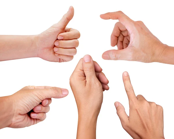 Collage of man hands isolated on white backgrounds — Stock Photo, Image