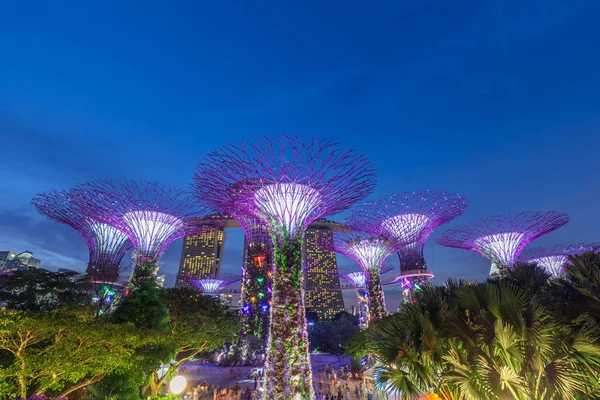 SINGAPOUR-25 septembre 2017 : Vue de nuit du super bosquet d'arbres — Photo