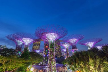 Singapur-Eylül 25th 2017: süper ağaç koruda gece görünümü