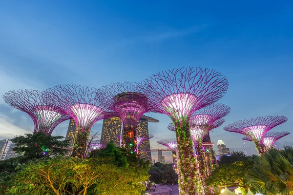 SINGAPORE-September 25th 2017 :Night view of super tree grove at Gardens by the Bay in Singapore — Stock Photo, Image