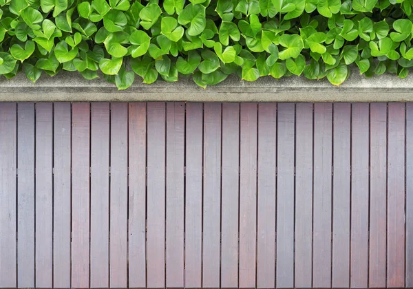 Bovenaanzicht van de tuin met houten vloer — Stockfoto