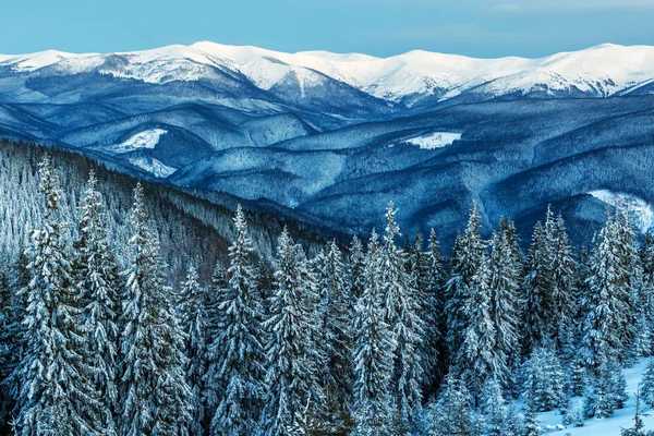 Paesaggio da vicino — Foto Stock