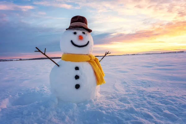 Muñeco de nieve cerca — Foto de Stock