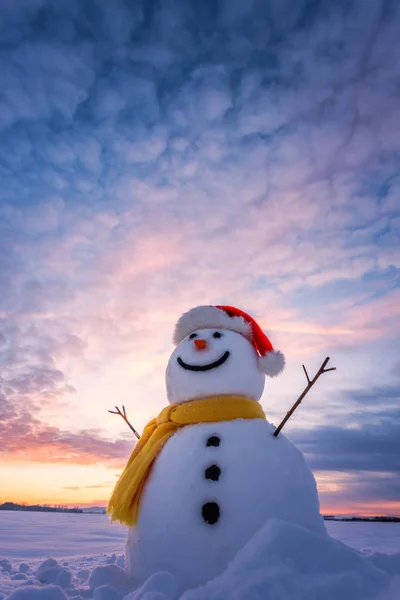 Boneco de neve de perto — Fotografia de Stock
