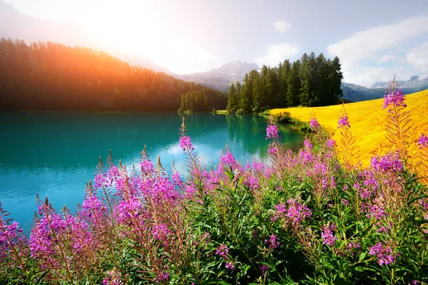 Increíble día soleado en el lago Champferersee — Foto de Stock