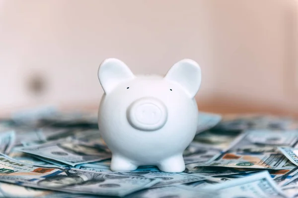 Piggy moneybox met dollar cash — Stockfoto