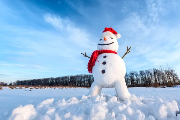 Muñeco de nieve divertido en sombrero rojo — Foto de Stock