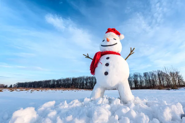 Muñeco de nieve divertido en sombrero rojo —  Fotos de Stock