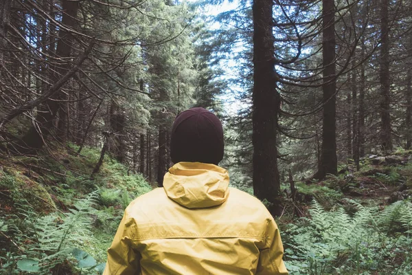 Homem em jaket amarelo na floresta selvagem — Fotografia de Stock