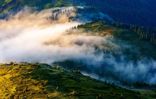 Pittoresco paesaggio estivo nella giornata di sole — Foto Stock