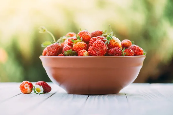 Erdbeere im Teller Nahaufnahme — Stockfoto