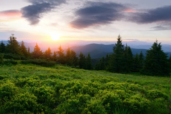 Malerische Sommerlandschaft mit farbenfrohem Sonnenaufgang — Stockfoto