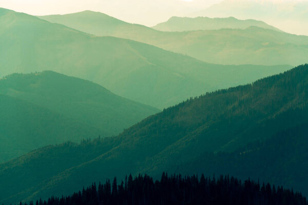 Picturesque summer landscape with colorful sunrise