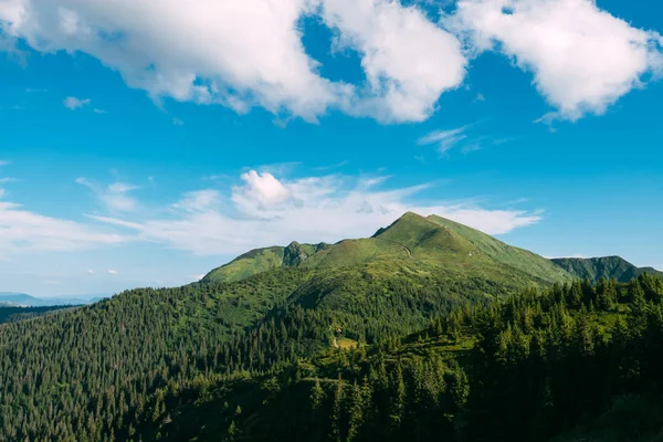 Malebná letní krajina za slunečného dne — Stock fotografie