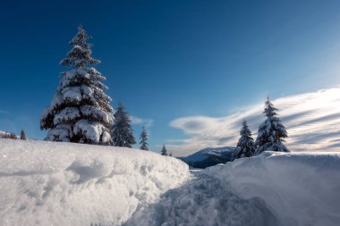 Muhteşem kış manzarası
