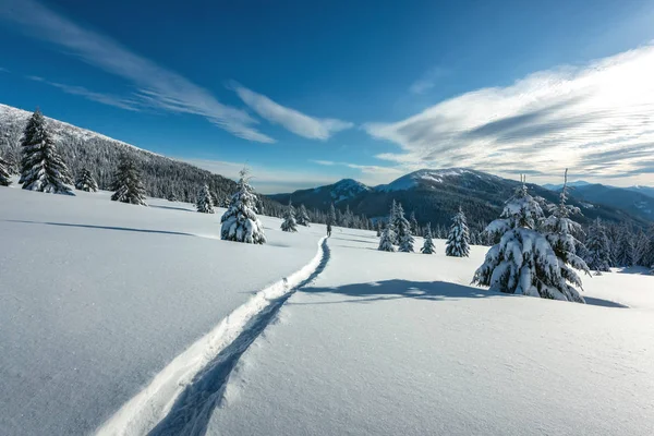 Fantástica paisagem de inverno — Fotografia de Stock