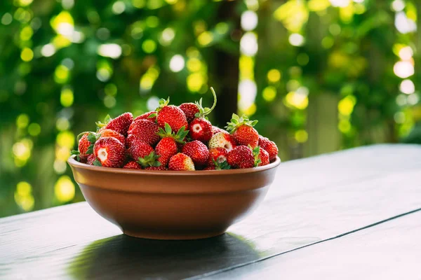Strawberry in plate closeup — Stock Photo, Image
