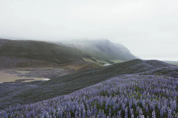 Paysage typique de l'Islande — Photo