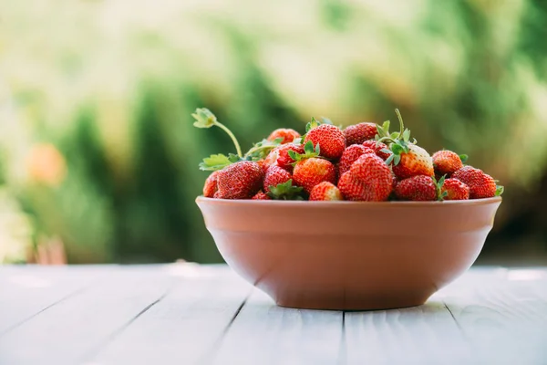 Strawberry in plate closeup — Stock Photo, Image