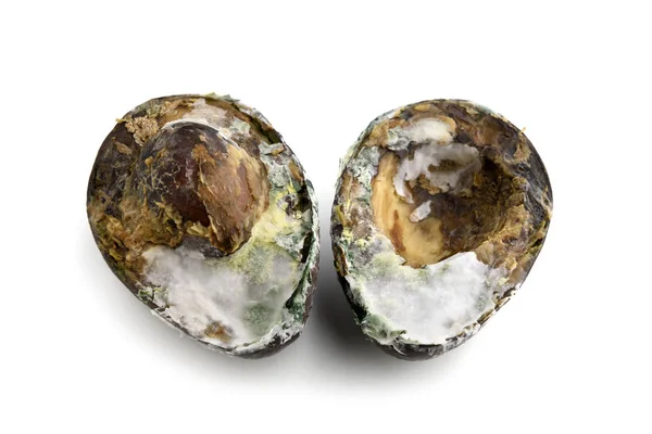 Гнилой испорченный авокадо изолирован — стоковое фото