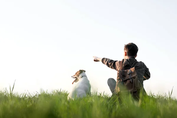 Teenager on green lawn with small white dog — Stock Photo, Image