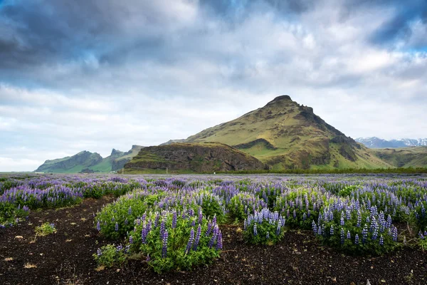 Paisagem típica da Islândia com montanhas — Fotografia de Stock