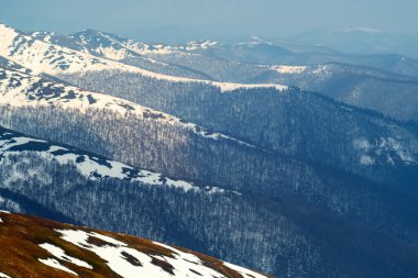 Çıplak ormanlı karlı tepeler