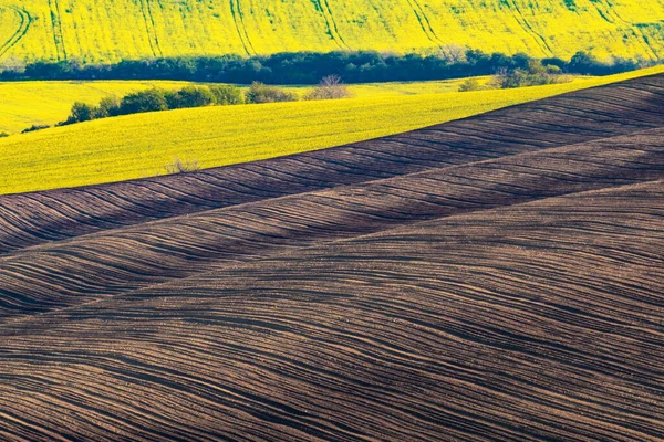 Paisagem com campos agrícolas — Fotografia de Stock