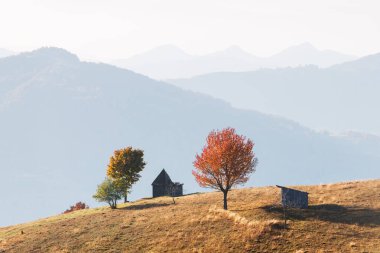 Ahşap evi olan resimli sonbahar çayırı