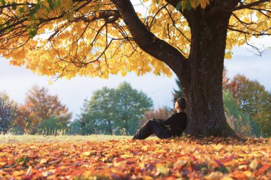 Görkemli portakal ağacının altında oturan adam.