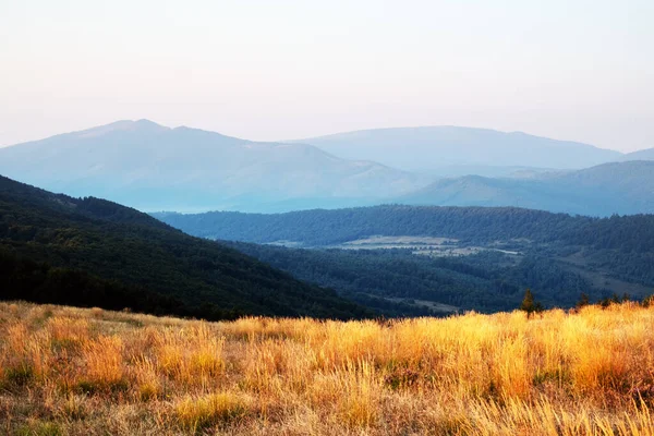 Yellow grass trembling in the wind in autumn mountains — Stock Photo, Image