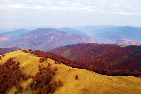 Sonbahar dağları ve kızıl kayın ormanı — Stok fotoğraf